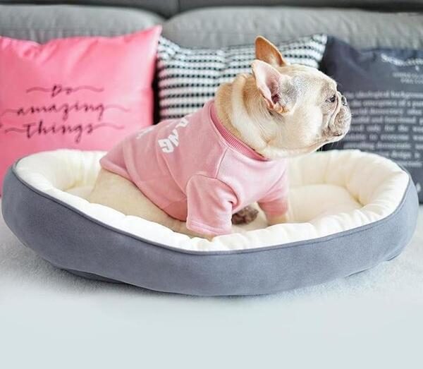 dog_bed_4_grande-1-6219473