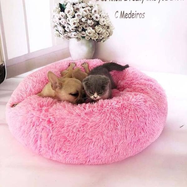 frenchie_donut_bed_grande-1-8749681