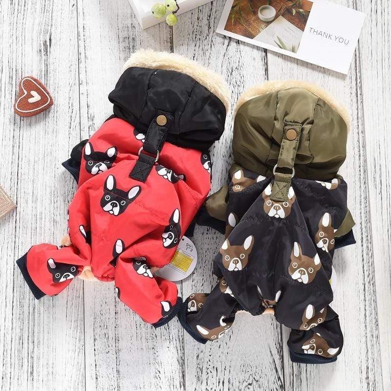 French bulldog coats