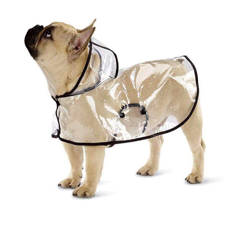 French bulldog raincoat