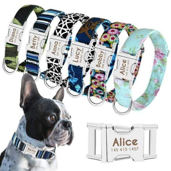 Personalized engraved frenchie collar