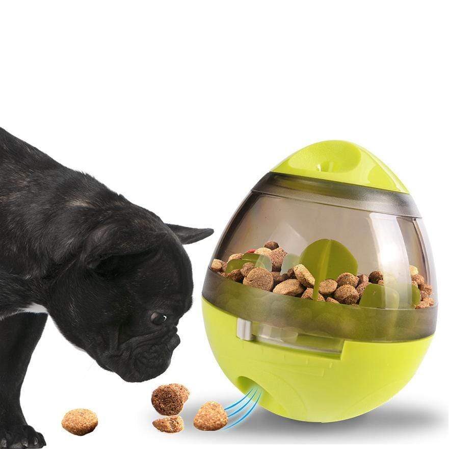 Interactive food bowl for french bulldogs