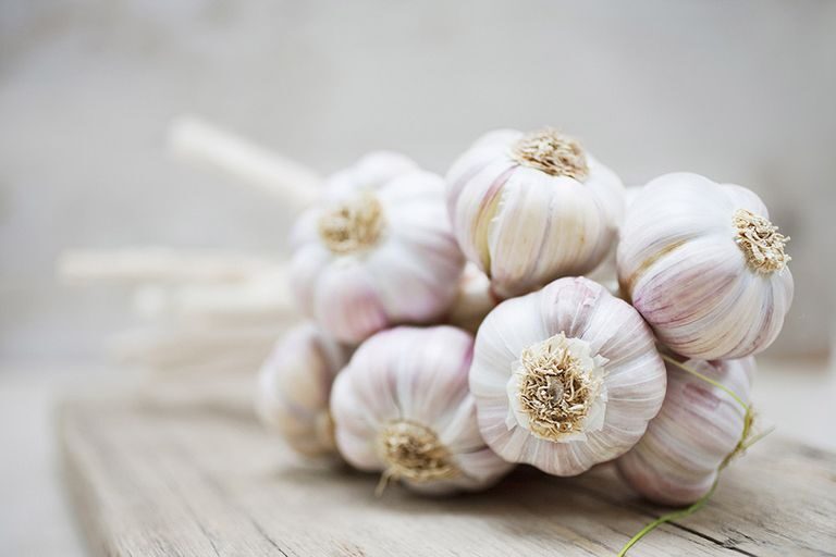 eating-garlic-for-weight-loss-59bc4d34396e5a001084b2af-1-9557401