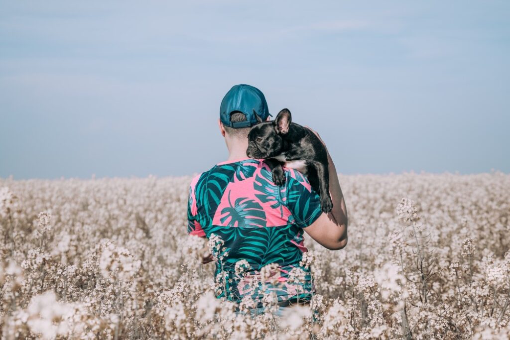 Are French bulldogs hypoallergenic for allergy sufferers?