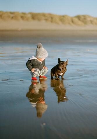 french-bulldog-and-kids-3_large-1-3179433