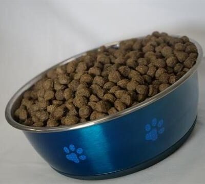 french_bulldog_food_large-1-9267492