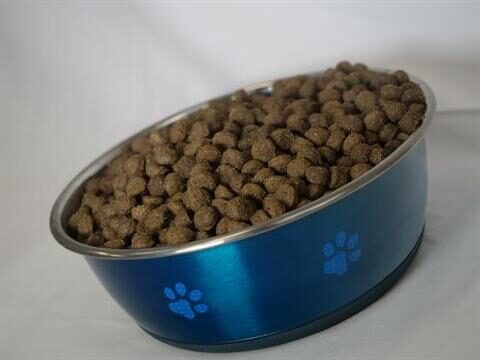 french_bulldog_food_large-1-9267492