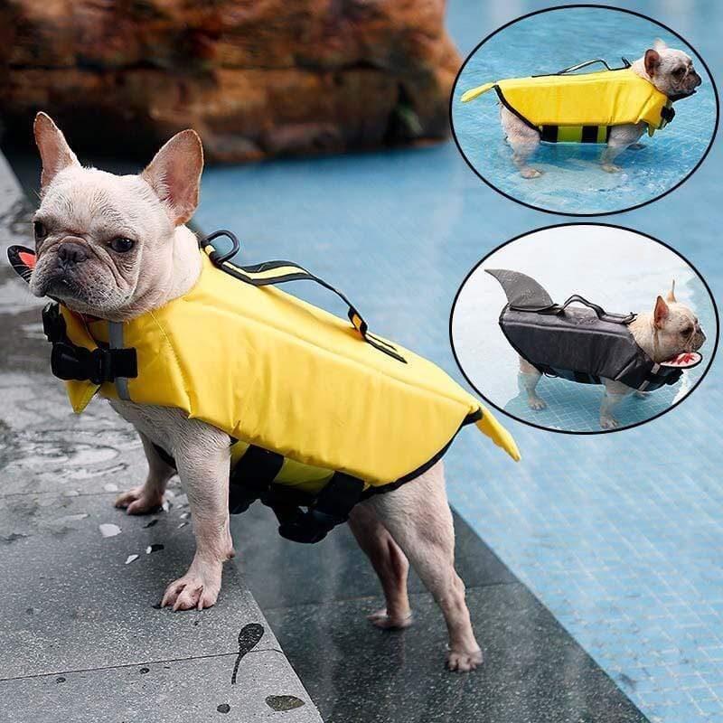 French bulldog life swimming jacket