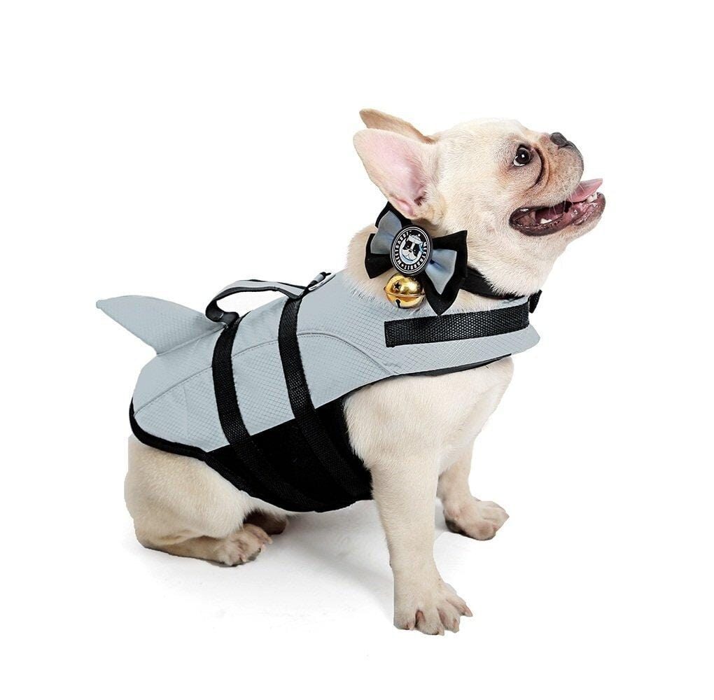 Frenchie life shark swimming vest