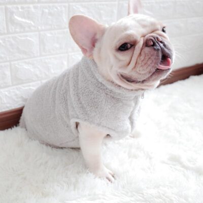 fuzzy-zip-up-french-bulldog-vest-frenchie-world-shop-gray-l-31592391180437