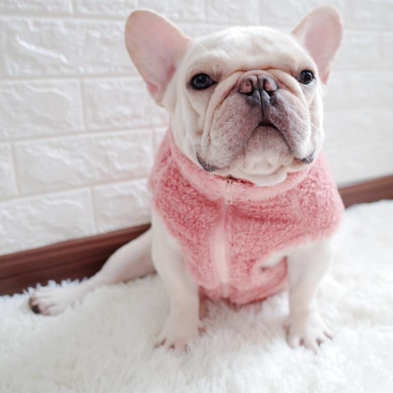 fuzzy-zip-up-french-bulldog-vest-frenchie-world-shop-pink-l-31592138375317-2949610