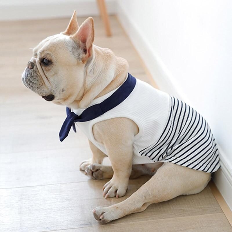 french-bulldog-sailor-sweatshirt-frenchie-world-shop-blue-fb-31582592663701-2861122