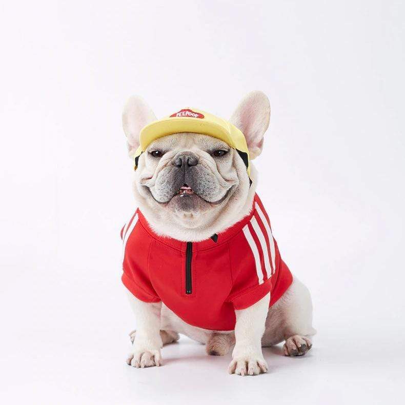 three-stripes-frenchie-hoodie-frenchie-world-shop-15568782458925-2502018