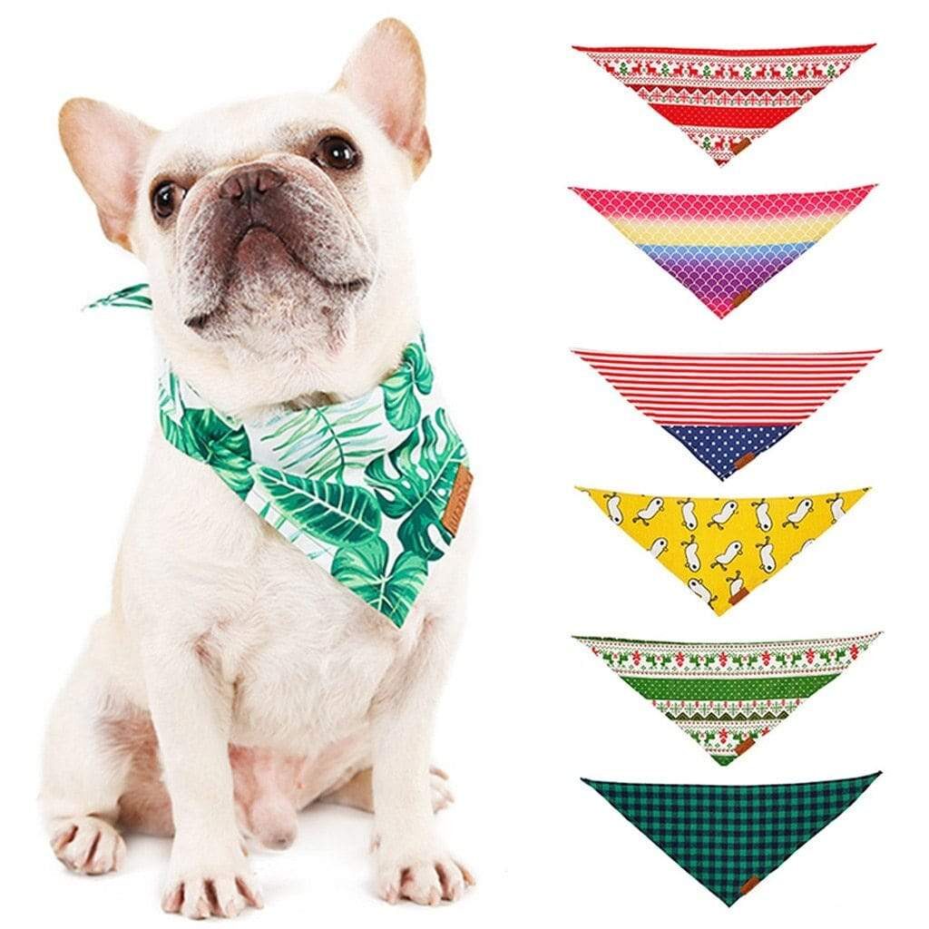 vibrant-french-bulldog-bandanas-frenchie-world-shop-15031405084717-1734655