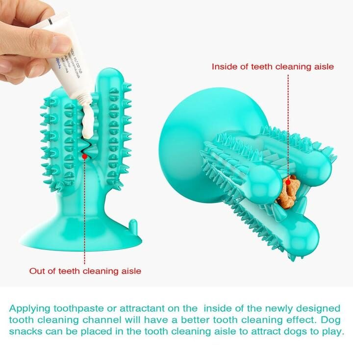 Toothbrush chew toy for dogs