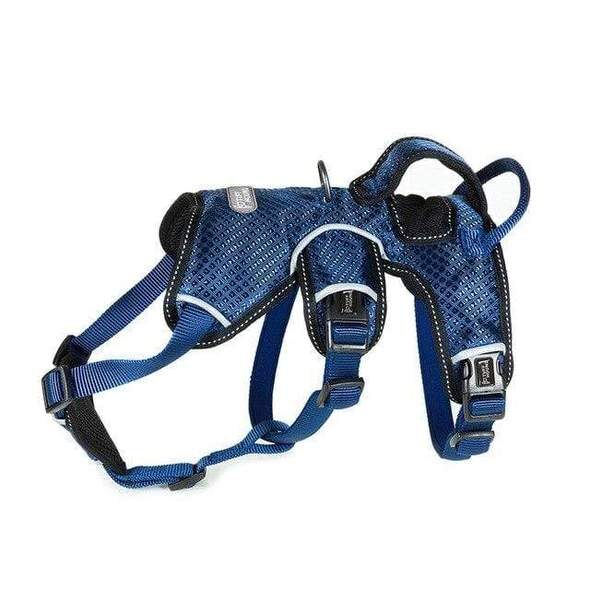 French bulldog harness