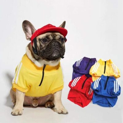 three-stripes-frenchie-hoodie-frenchie-world-shop-15568864051245