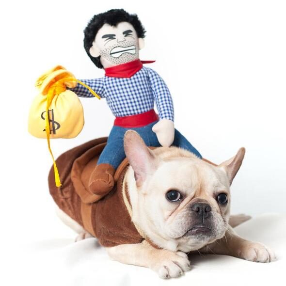 cowboy-dog-costume-frenchie-world-shop-blue-s-3680658030693_590x-1-1214115