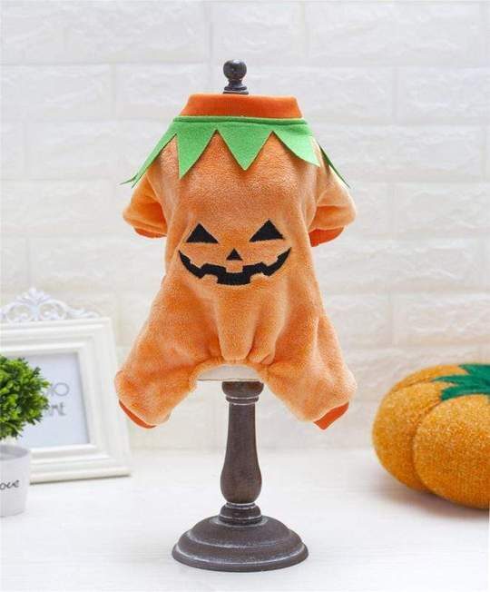 pumpkin-halloween-costume-frenchie-world-shop-3685771214949_540x-1-4582259