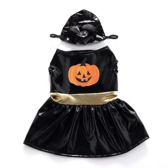 witch-halloween-french-bulldog-costume-frenchie-world-shop-12712449015853_540x-1-1259513