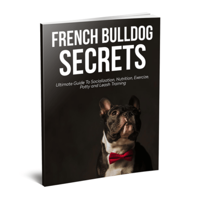 french-bulldog-secrets-hardcover-book-frenchie-world-shop-book-14458789134381_590x-v-1596622758