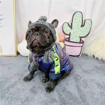 futuristic-french-bulldog-feather-jacket-frenchie-world-shop-22540295241877