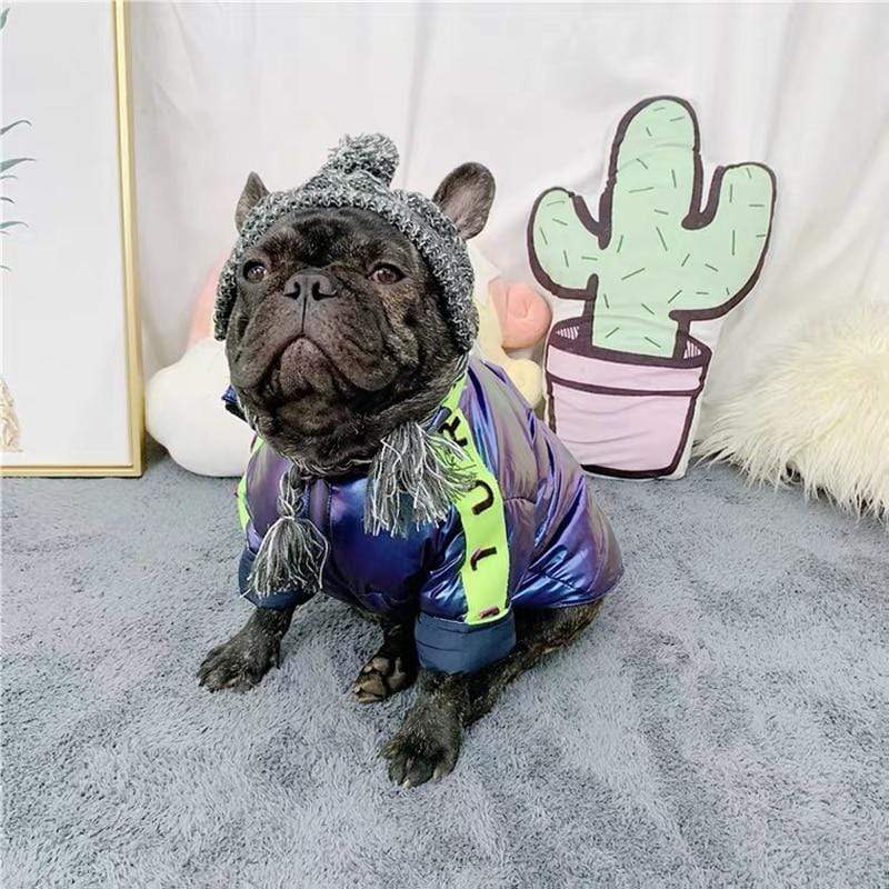 Top 12 French Bulldog Coats In 2021 - Frenchie World Shop