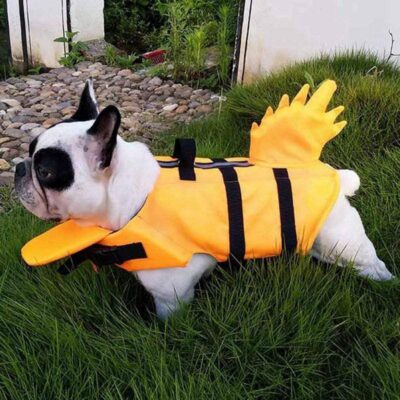 French Bulldog Life Jackets