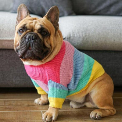 rainbow-knitted-jumper-frenchie-world-shop-4252988637229_590x_bc7c6b99-9e98-4e48-b1f5-51d3112e2af5_480x480-v-1636558021