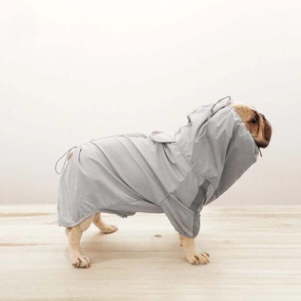 Frenchie World Shop 2021 New Dog Windproof Snowproof Reflective Pet Clothing Method Fighting Baotou Raincoat And Jacket