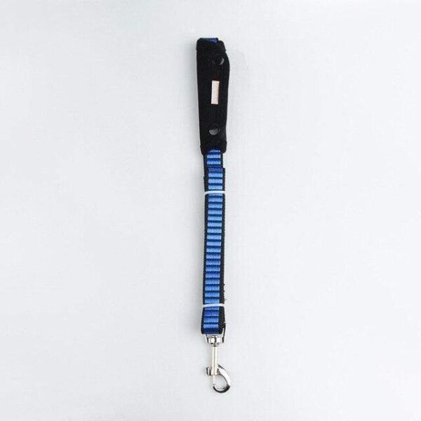 Frenchie World Shop Blue Leash / XS / China 360-degree Reflective French bulldog Harness