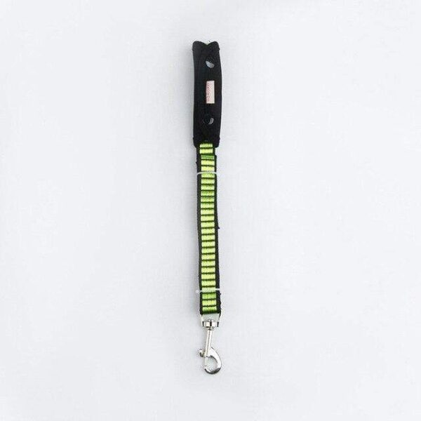 Frenchie World Shop Green Leash / XS / China 360-degree Reflective French bulldog Harness