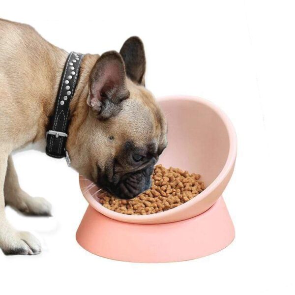 Frenchie World Shop Pink 360 Degree Slanted Dog Bowl