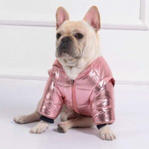 Frenchie World Shop 80's Retro Shiny Jacket