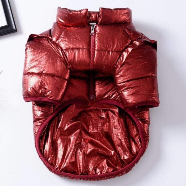 Frenchie World Shop 80's Retro Shiny Jacket