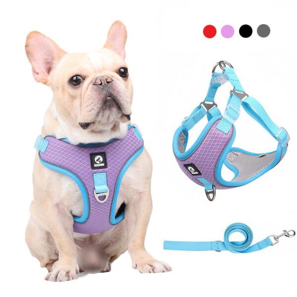 Frenchie World Shop Adjustable Dog Harness No Pull Reflective Medium Large Dog Harness and Leash Set For French Bulldog Greyhound Walking Running