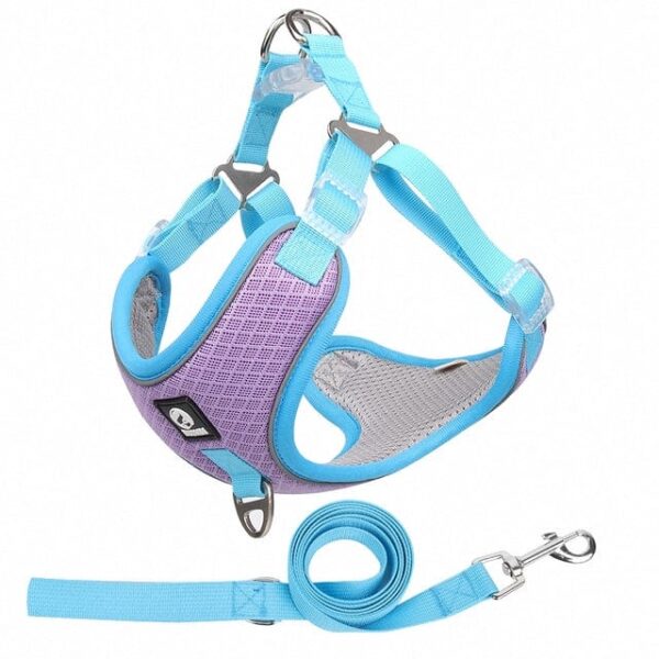 Frenchie World Shop Purple / S Adjustable Dog Harness No Pull Reflective Medium Large Dog Harness and Leash Set For French Bulldog Greyhound Walking Running