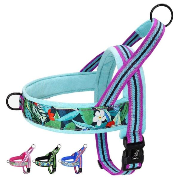 Frenchie World Shop Amazonian Vibes Padded French Bulldog Harness