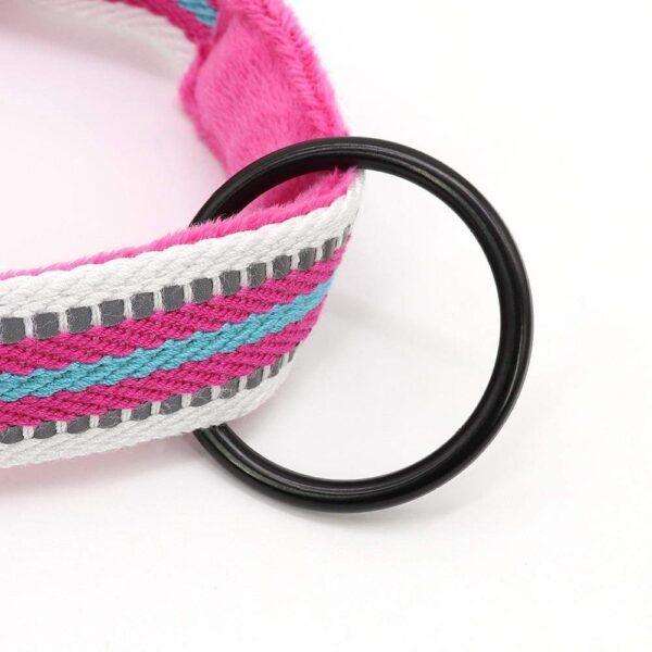 Frenchie World Shop Amazonian Vibes Padded French Bulldog Harness