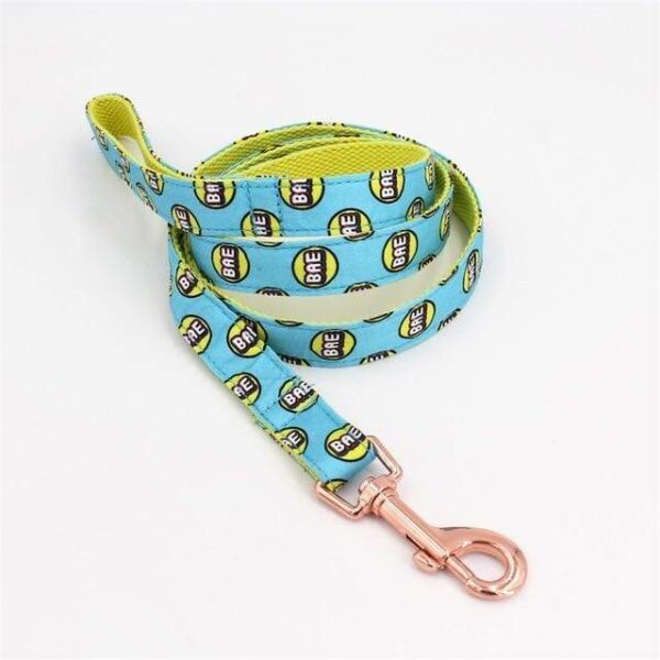 Frenchie World Shop leash / S(20-30cm Length) Bae Printed Collar, Leash & Bowtie Set