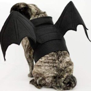 Frenchie World Shop Black / S Bat Pig Dog Costume