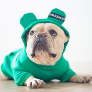 Frenchie World Shop Green / L BE NICE French Bulldog Hoodie