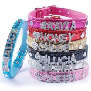 Frenchie World Shop Bling Personalized French Bulldog Collar
