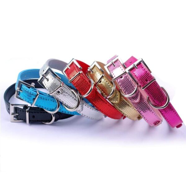 Frenchie World Shop Bling Personalized French Bulldog Collar