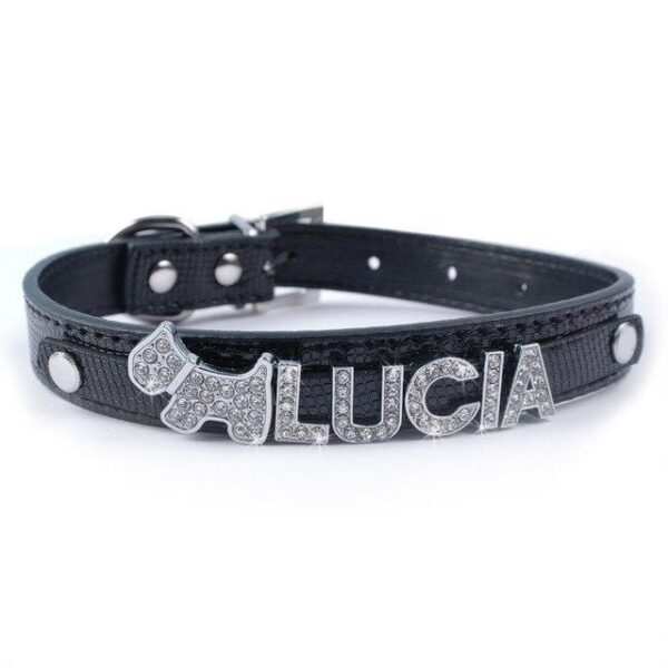 Frenchie World Shop Black / S Bling Personalized French Bulldog Collar