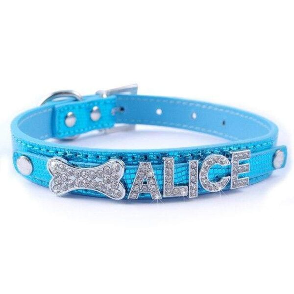 Frenchie World Shop Blue / S Bling Personalized French Bulldog Collar