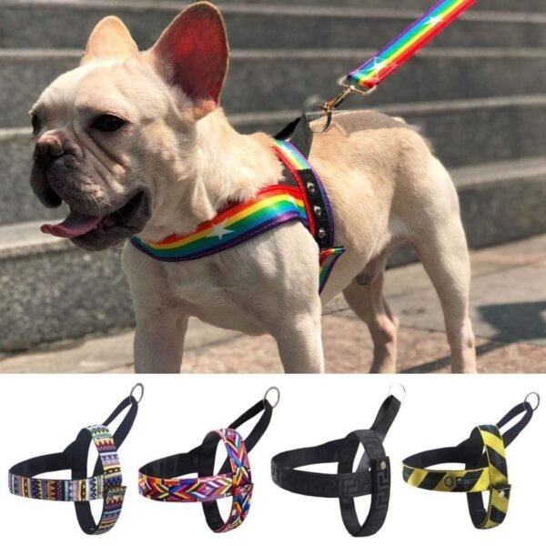 Frenchie World Shop Bohemian French Bulldog Harness