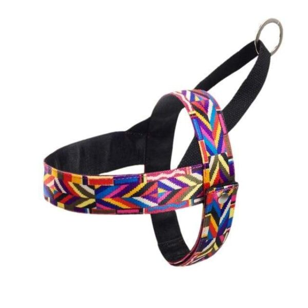 Frenchie World Shop harness 04 / XS Bohemian French Bulldog Harness