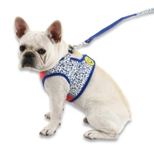 Frenchie World Shop Blue / XL Breathable French Bulldog Harness