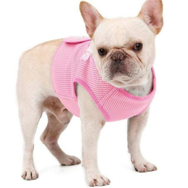 Frenchie World Shop pink / XS 26-30cm chest Breathable Mesh Light Vest Harness